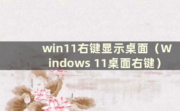 win11右键显示桌面（Windows 11桌面右键）